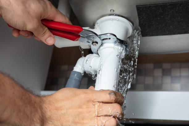 Best Ceiling water damage repair  in Manitou Beach Devils Lake, MI