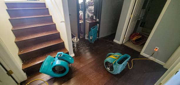 Best Carpet water damage restoration  in Manitou Beach Devils Lake, MI
