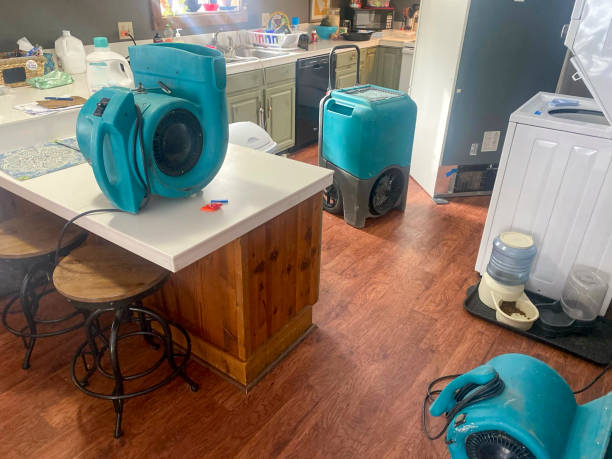  Manitou Beach Devils Lake, MI Water damage restoration Pros