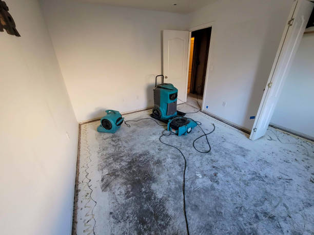  Manitou Beach Devils Lake, MI Water damage restoration Pros