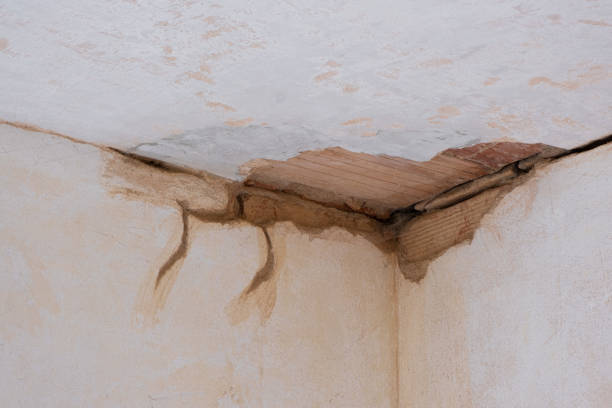Best Flooded house restoration  in Manitou Beach Devils Lake, MI