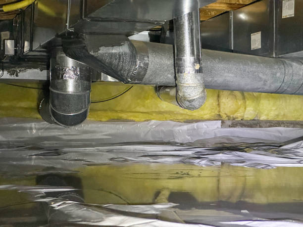 Best Ceiling water damage repair  in Manitou Beach Devils Lake, MI
