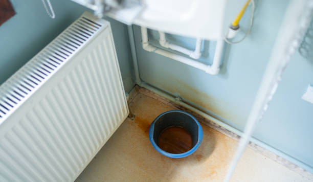 Best Residential water damage restoration  in Manitou Beach Devils Lake, MI