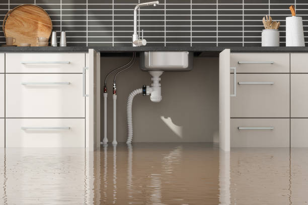 Manitou Beach Devils Lake, MI Water damage restoration Company
