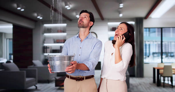 Best 24/7 water damage repair  in Manitou Beach Devils Lake, MI