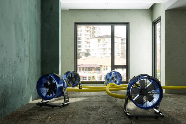 Best Local water damage restoration  in Manitou Beach Devils Lake, MI