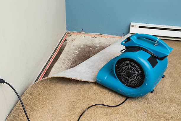 Best Water damage restoration near me  in Manitou Beach Devils Lake, MI